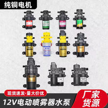 电动喷雾器水泵12v高压隔膜泵农用电动喷雾器配件隔膜增压水泵