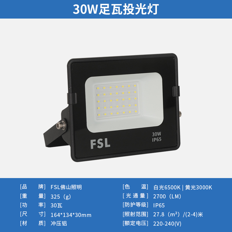 Reflector LED FSL Foshan Lighting para exteriores de alta potencia, foco de jardín de 100W, reflector publicitario para exteriores.