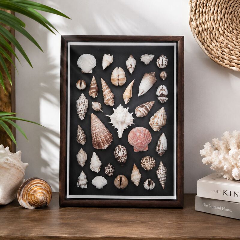 Hollow 1.5cm deep three-dimensional shell specimen micro landscape beach photo frame DIY handmade frame creative display stand
