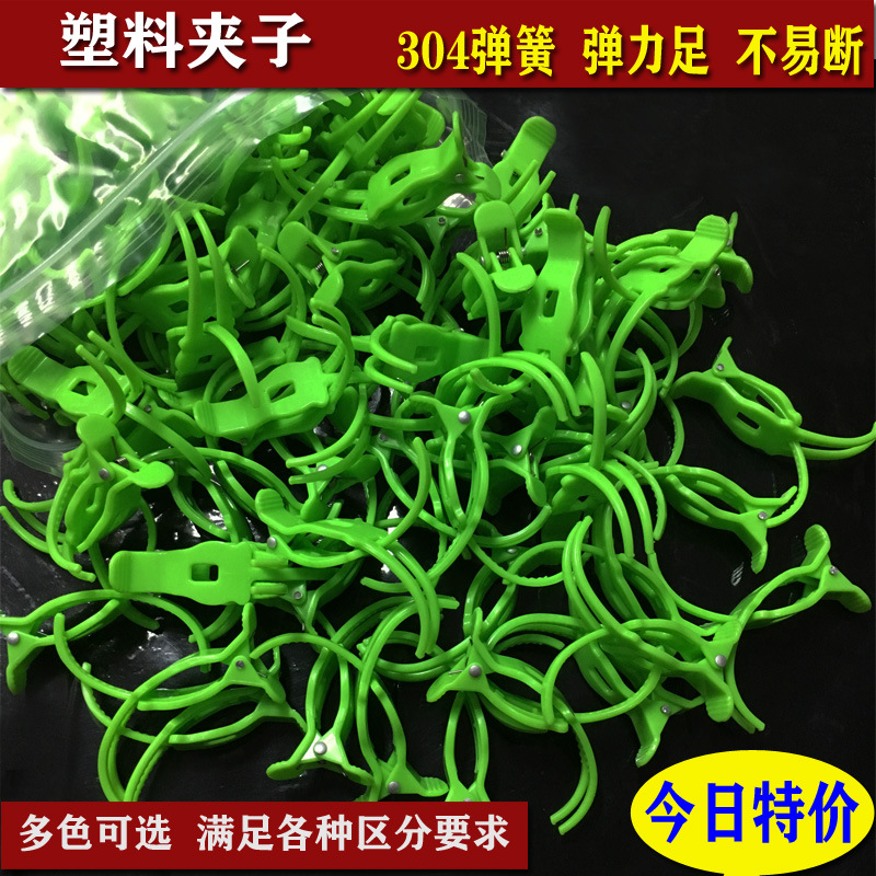 塑料小夹子多色彩色夹子签子串串水晶透明夹代替橡皮筋捆绑分类夹|ru