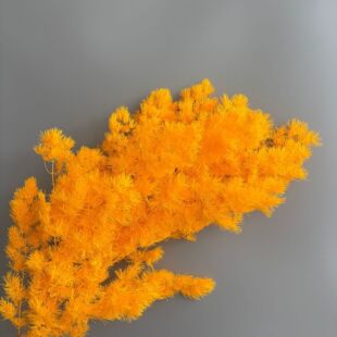 ����朽����R���������ɻ�520�廨DIY������Ļ�c���˹�ĸ�H����