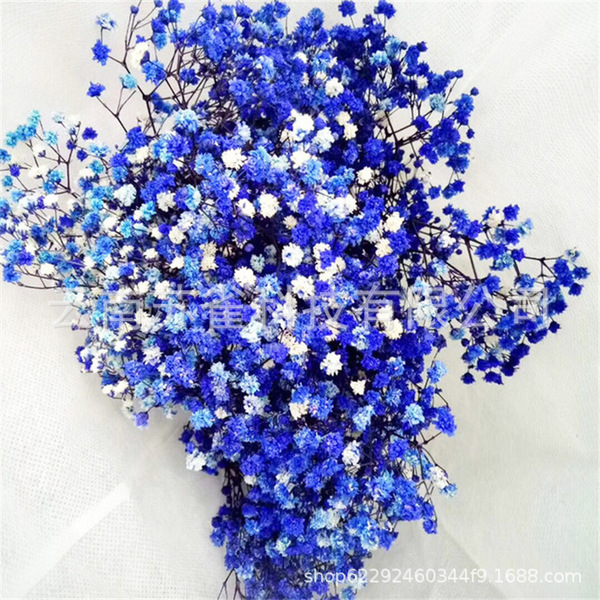 Wholesale Yunnan Ganhua Eternal Flower Flowers Di Flower DIY Bouquet…