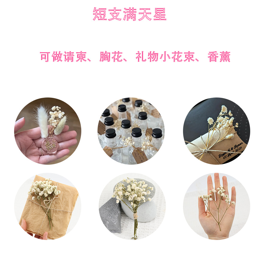 满天星干花永生花diy配材花卉亚马逊跨境货源云南厂家源头直发FBA