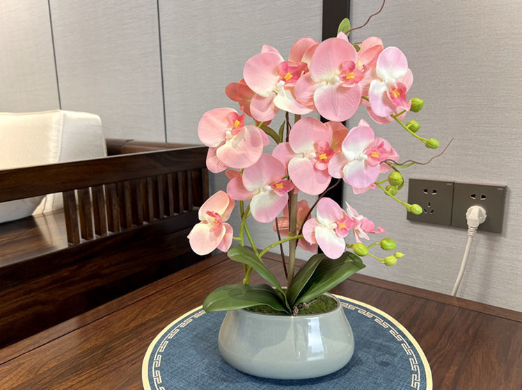 fe39ab16-12bd-4e96-9dce-7898df7198ad.jpe