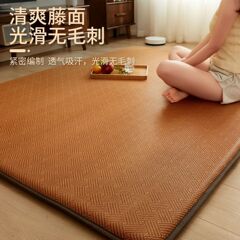 冷たい席の客間の日本式の藤の席のマットは厚いじゅうたんのベランダのベッドの辺の畳のマットを敷きます。