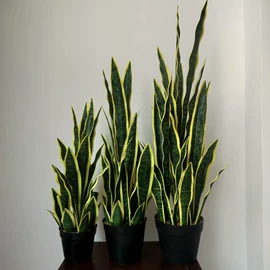 仿真绿植;盆栽;仿真花