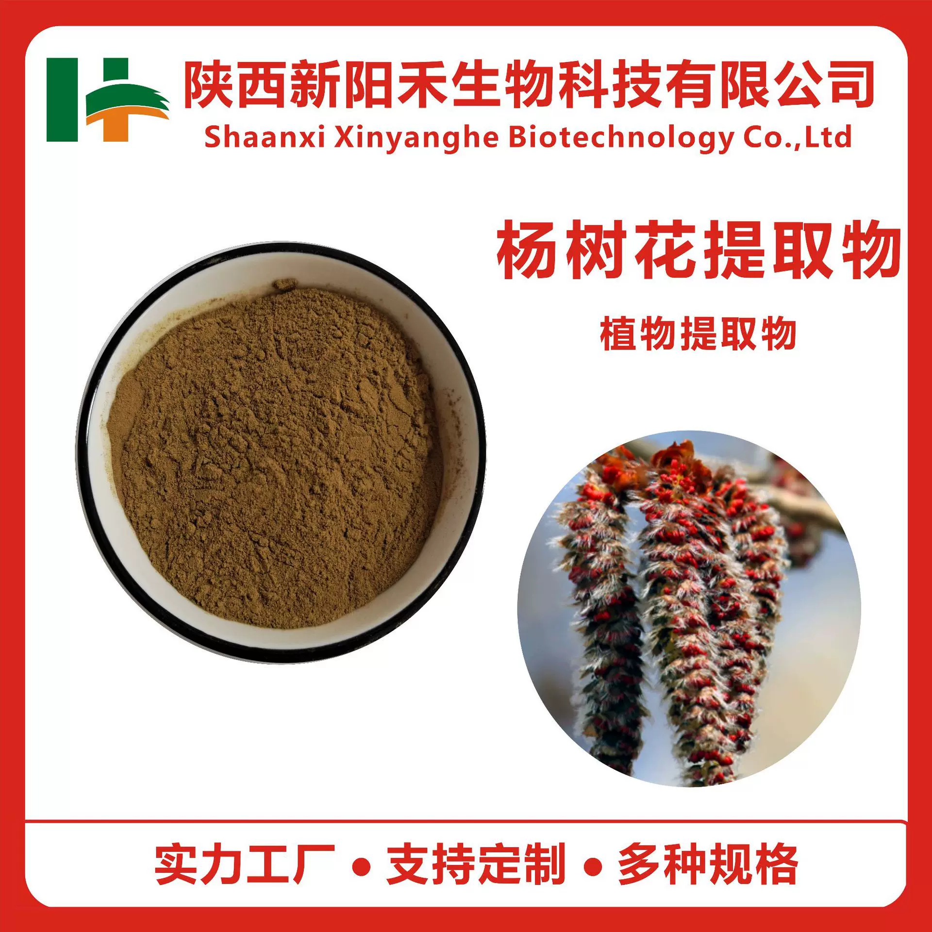 杨树花提取物 水溶杨树花粉 毛白杨提取物 毛白杨粉 杨树花多糖