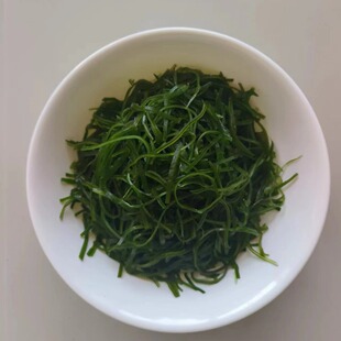 ���B���s��ɺ����z�������庣���؛�S�����lȹ�����}�n�����خa