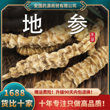 地参中药材新鲜地参干云南虫草参非野生虫草地参地笋银条菜地蚕子