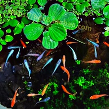 ���˓Q���^�����F�~����� �������^�p�~С���\��С�~�����B��