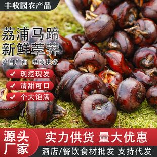 �V������ˮ���R����ϴݩ�j���r��ʳ�F���Ҝ�����ʳ���������l