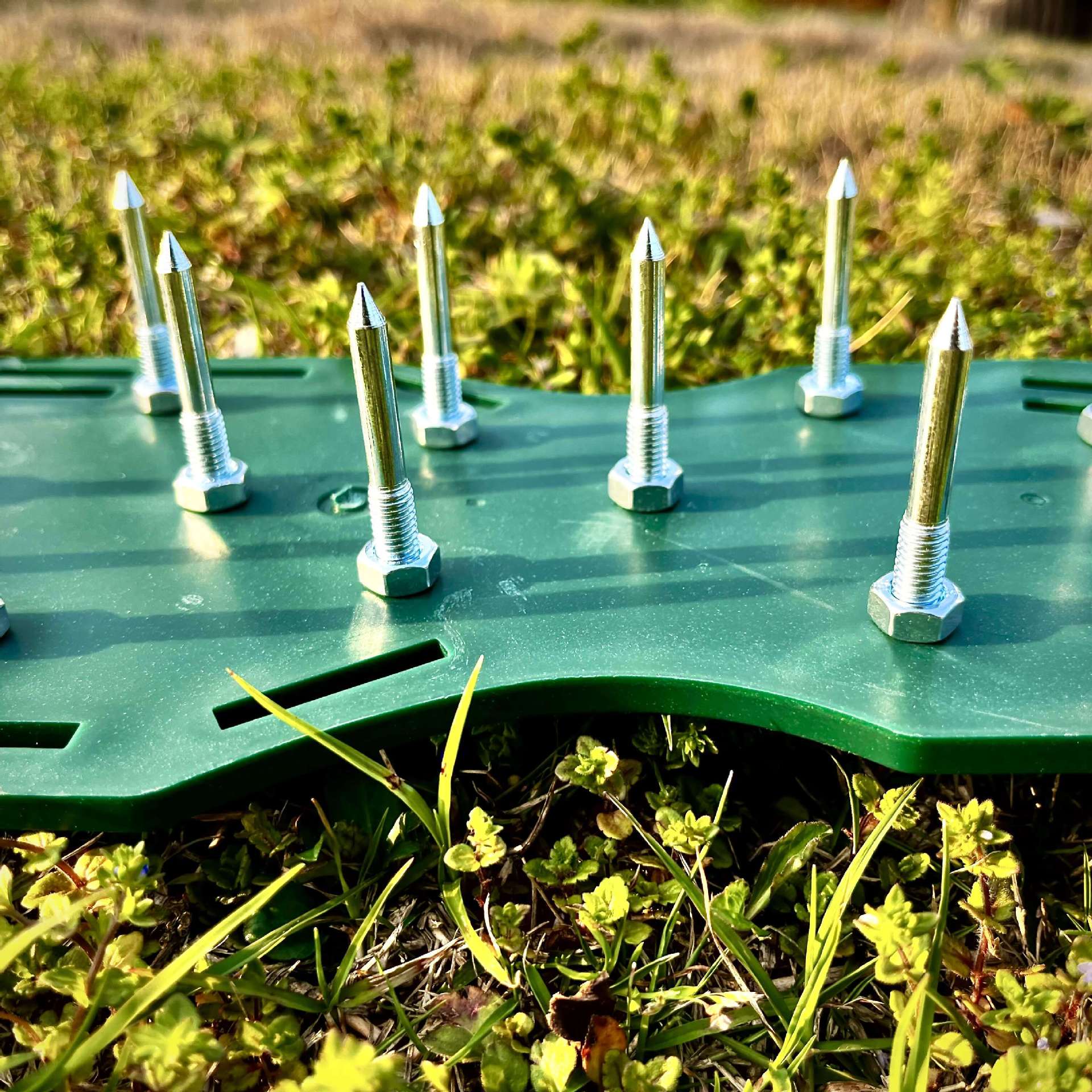 Garden Spikes Image 8