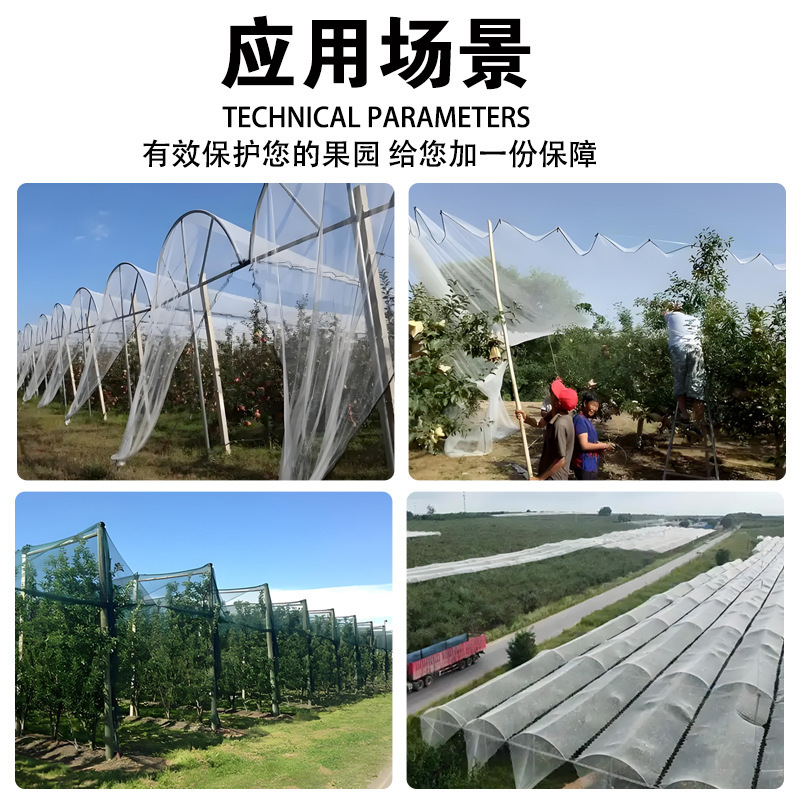 防雹网 果园防雹网农田苹果葡萄防鸟网花圃白色菱形防虫防护网|undefined