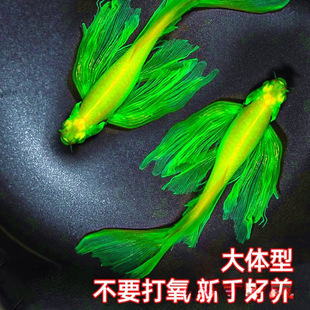 �������R�~�Lβ�L�������G�^�p�~���P��ˮС�͵�ˮ���BС���~