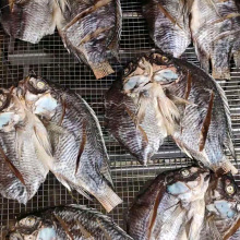 �_���~��əC �����~��ɷ� �����a�~����� ȫ�Ԅ��~��늿���