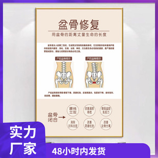 JCB Postpartum Repair Poster rectus abdominis advertisement Pelvic Repair Breast Care Picture Moon Center Pack