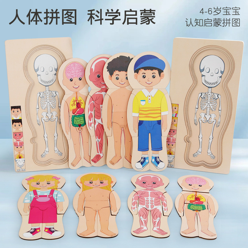 Kindergarten herramientas de educación de la primera infancia rompecabezas de estructura corporal de múltiples capas de madera para niños y niñas rompecabezas de órganos corporales