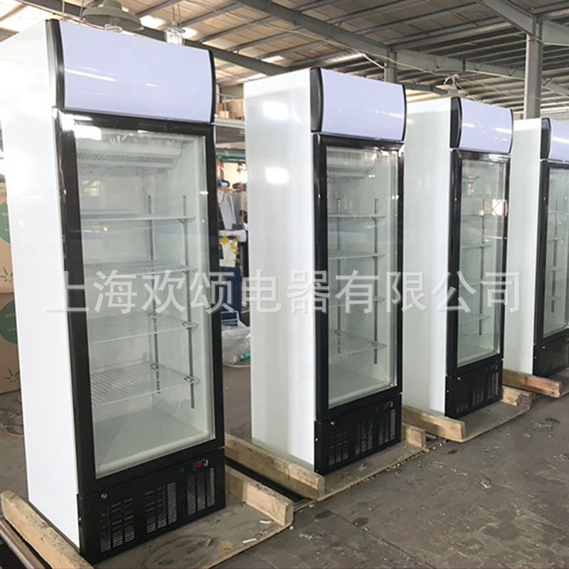 Ice Cream Vertical Freezer Display Cabinet Commercial Freezer Mini Haagen-Dazs Ice Cream Freezer Small Refrigerator Wholesale Ice Cream Vertical Freezer Display Cabinet Commercial Freezer Mini Haagen-Dazs Ice Cream Freezer Small Refrigerator Wholesale