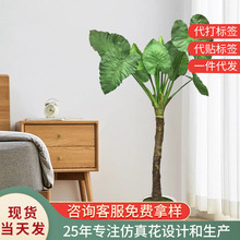仿真芋头树客厅植物装饰绿植室内摆件绿植家居酒店装饰芋头盆栽