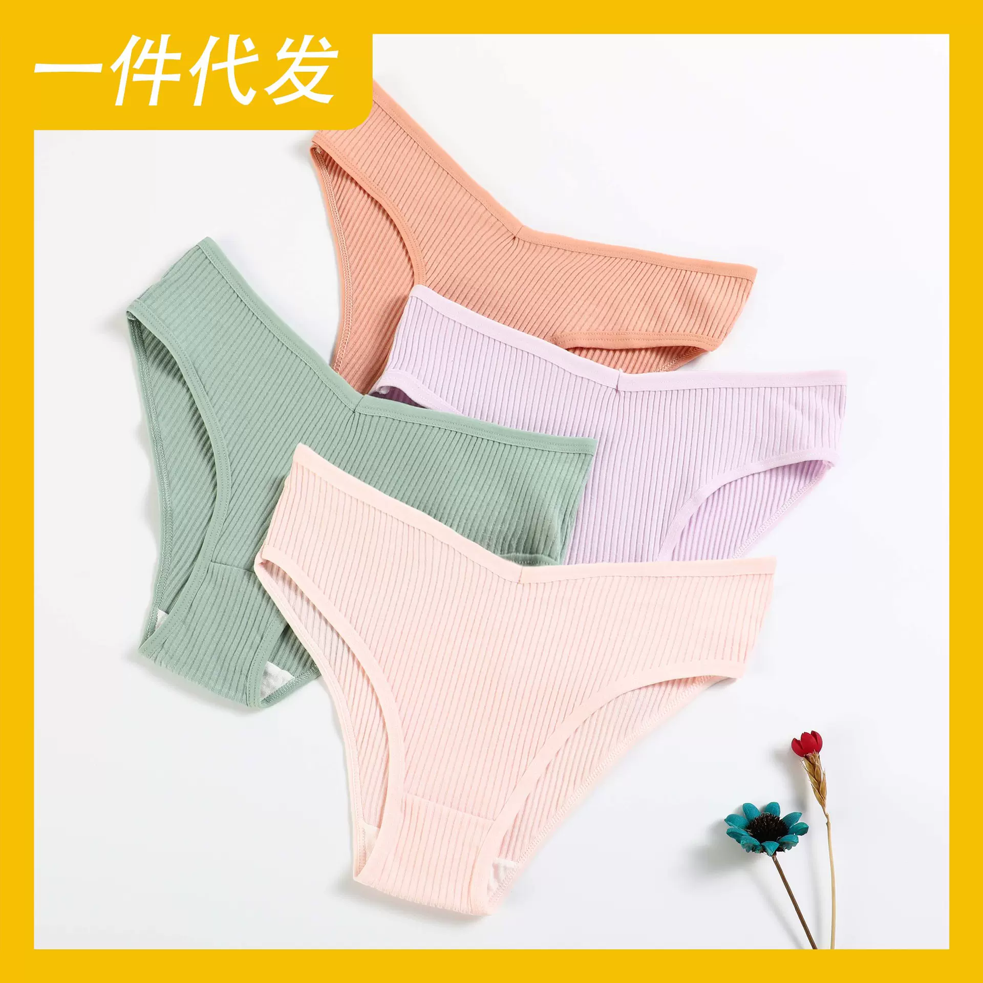 新品女士纯棉螺纹三角裤十色低腰舒适透气双层档女士内裤一件代发