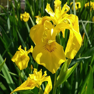 �S���ѻ���ˮ�����ܶ������޸����ܰ�߅��ֲ���̾G���ر��Gֲ���^