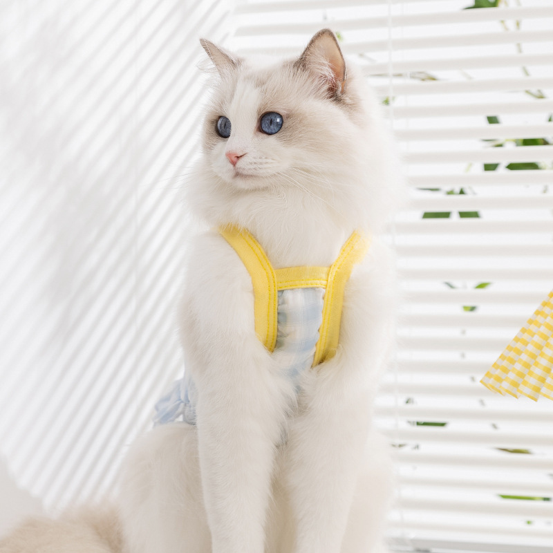Primavera y verano gatos sin pelo gatito cachorro falda de macarón cuadrilátero de dibujos animados falda de cinturón perros mascotas ropa de verano
