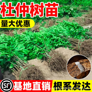 ������ș�ö��٘�����ș�Ķ��������С�����Ե����ϱ����Nֲ���]