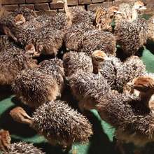 �r�B������w�����r�B������������B������������С�r�B��