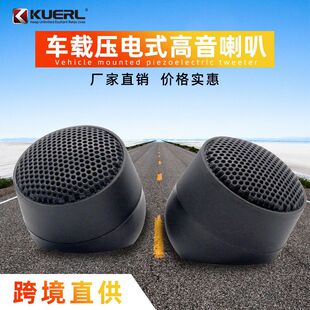 Factory wholesale car audio modification speaker piezoelectric SS-019 high pitch head car audio high pitch speaker