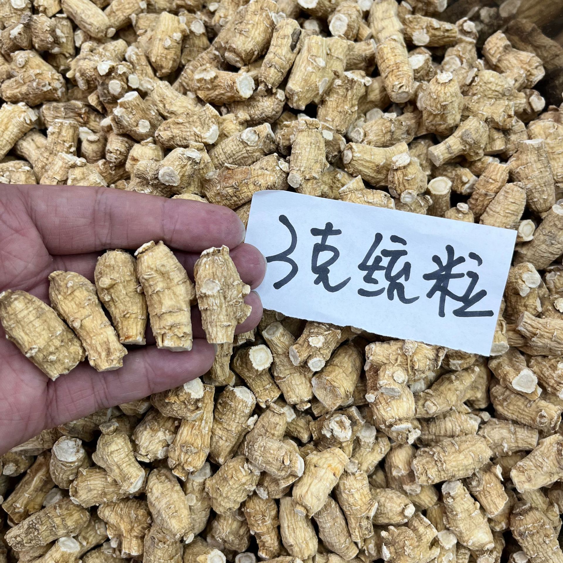 American Ginseng Root Heads (Panax quinquefolius) — Whole Xi Yang Shen Pieces for Tea & Soup overview