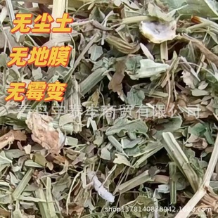 ��� ������ �����ն� ţ������ �����ݷ� �����ٻ�������