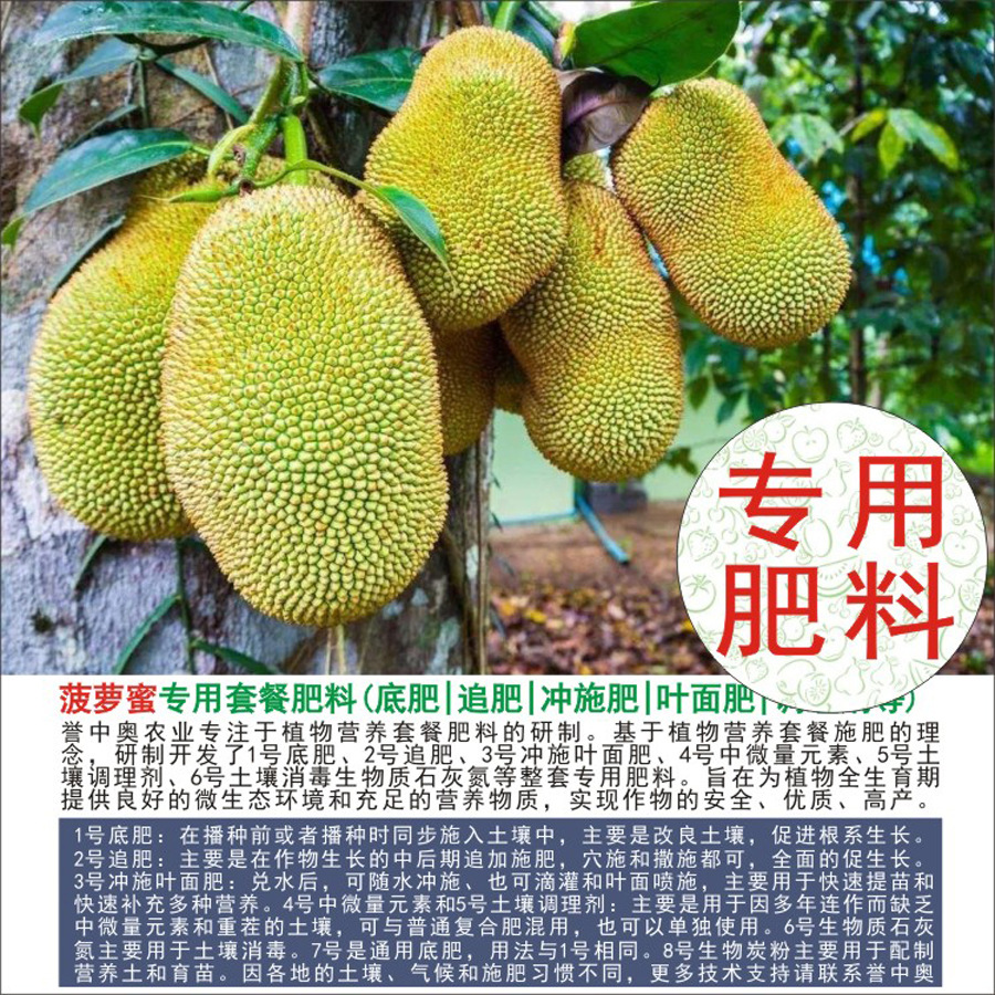 1-50斤誉中奥菠萝蜜专用有机肥复合肥底肥追肥叶面肥冲施肥水溶肥