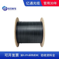 光ファイバーケーブル 室内用 2芯 FTTH 電気通信 モバイルユニコム テレビ放送 黒色スチールワイヤー ダブルコア レジンケーブル 光ケーブル ギガビット