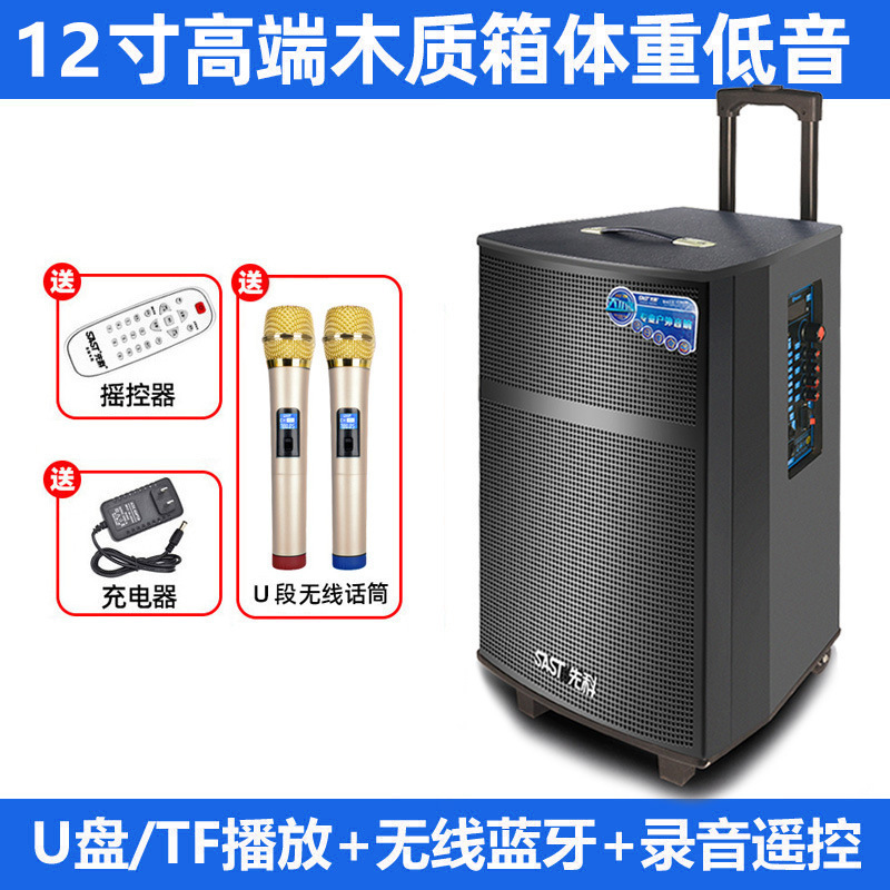 先科广场舞蓝牙音响带话筒家用户外拉杆音箱大功率低音炮厂家批发|undefined