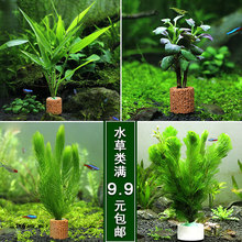 ˮ�����~���b��wˮ�ݾG�ս��~�������������ˮ�ų�ľ�쾰