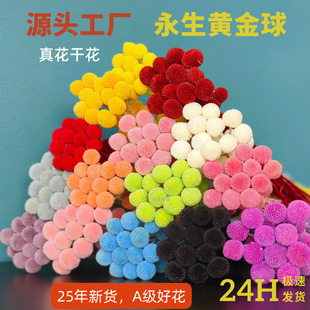 �����S����ɻ������r�滨diy�����b�Y���û�����Ϲ��S