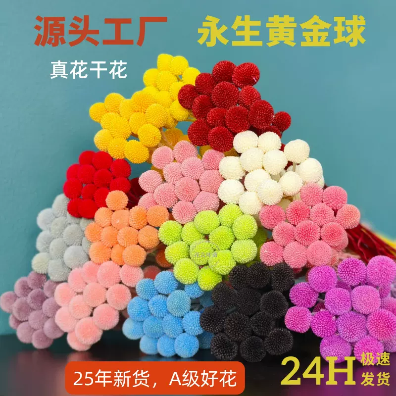 永生黄金球干花比利时真花diy精油装饰婚礼布置花束云南工厂