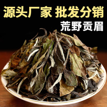 福建老白茶陈年散装太姥山老寿眉茶散茶荒野贡眉珍藏版批发