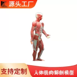 教学演示用品;数理教学器材;生物教学器材