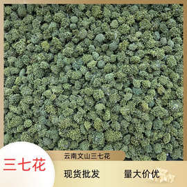 2026云南文山三七新花田七花多规格散装现货500g直批三七花新货到