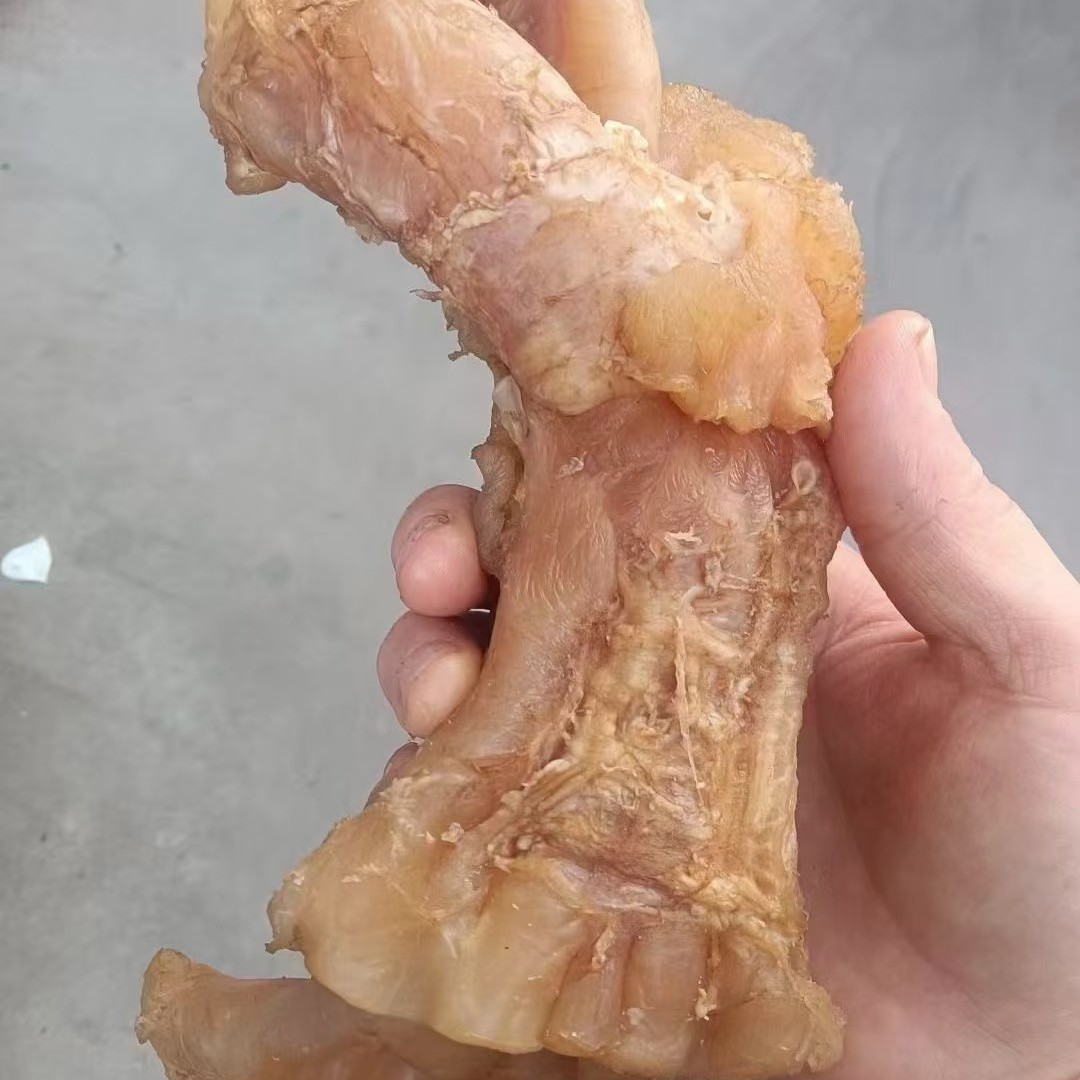 正宗蹄筋商用整箱新鲜去皮成熟半成品火锅食材串串牛筋真空批发