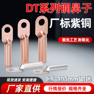 Factory standard oil blocking copper nose DT copper nose 10/16/25/35/50/70/95/120/150/185/240 tin plating