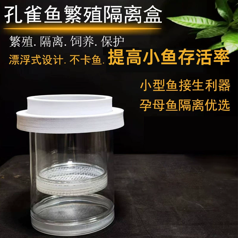 Коробка для размножения гуппи, аквариум, изолирующая коробка для мелкой рыбы, молодь, самка