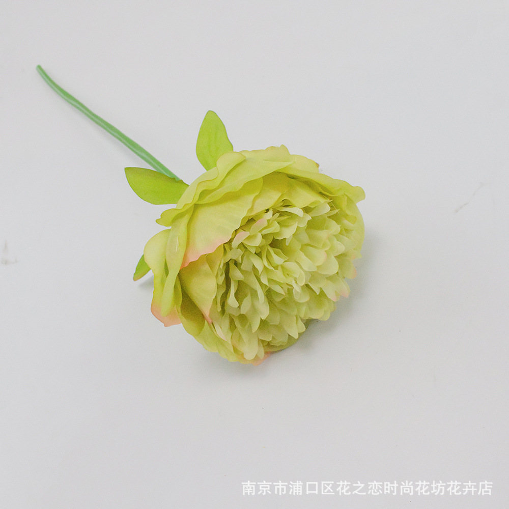 싱글 호스 모란(진한 녹색)
