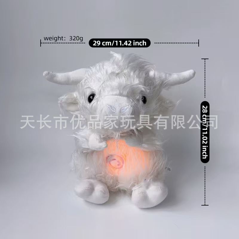 Breathing highland cow white