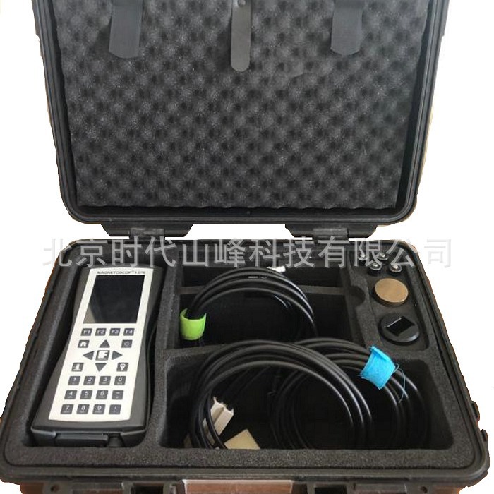 �¹�FOERSTER MAGNETOSCOP 1.070��Яʽ������