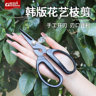 芽剪盆栽剪韩版园艺剪修枝剪葡萄火龙果蔬果剪采摘花椒神器专用剪