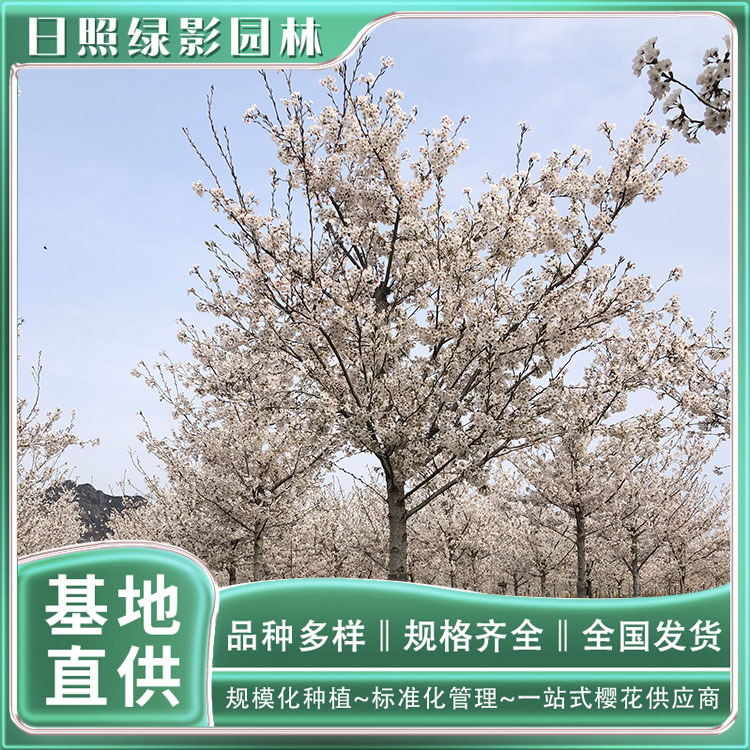 14935819455140203271 副本.jpg