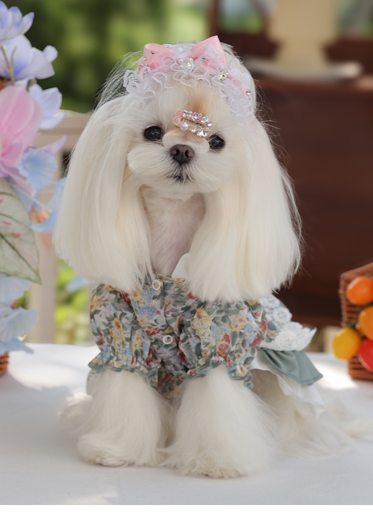 hmqViviiyNSAyin8WueUtyAOu6mXZoW4gtg4