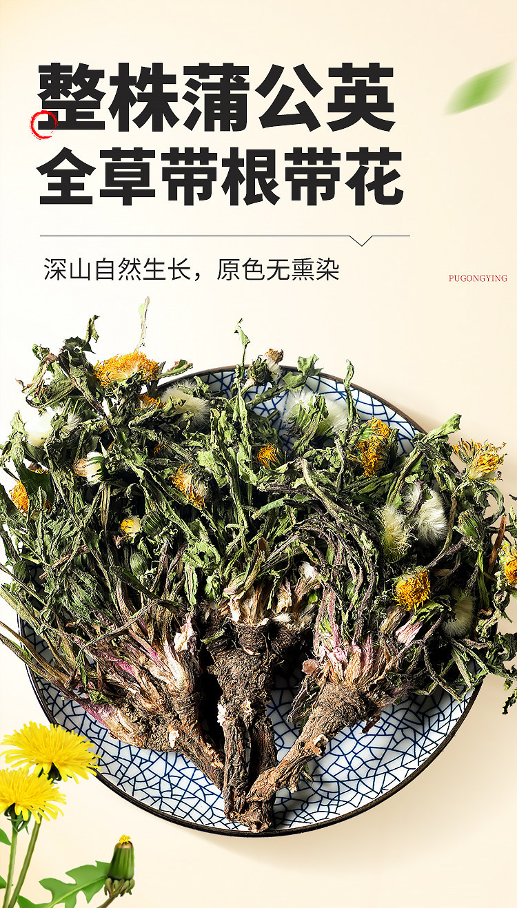 Dried Dandelion Whole Herb Pu Gong Ying 500g Wild Harvested Traditional Herbal Tea and Decoction Ingredient overview